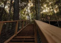 Buckeye cabin is nestled in the woods with access to the Little Missouri River. - 3つ星