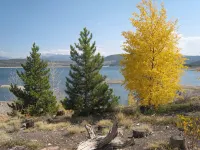 Short Walk to Restaurants, Shopping, Skiing / Special Pricing - 2-Star