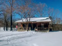 Stunning  Cabin. On a Mountain Ridge! Perfect vacation getaway for all ages! - Wi-Fi