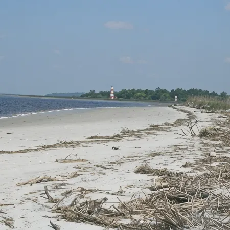 Oaks of Eden, Quiet Secluded Perfect Getaway for Two Near Sapelo Island