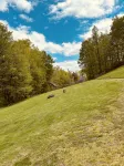 3 bedroom 1 full bath cabin 10 minutes from Cave Run Lake - Chalets
