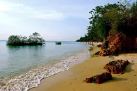 Mangrove Lodge - Spa