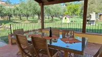 Conca Oro New House on Hill between Lucca and the sea with pool and large porch - Wi-Fi