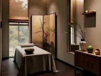 WYNDHAM GARDEN ZHANGJIAJIE TIANMEN MOUNTAIN - spa