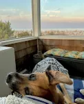 3 Bedroom/Dog friendly/direct ocean views! - 4つ星