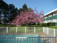 Holiday Inn LILLE - OUEST ENGLOS by IHG - piscina