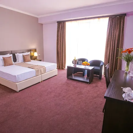Ani Central Inn