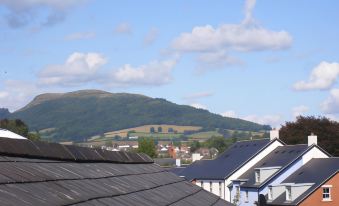 a view of a town with houses and rooftops , with a mountain in the background at The Kings Head Hotel