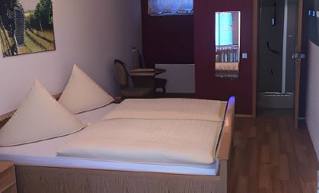 Bed and Breakfast - Rheingauer Hof - Housity