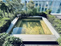Sun Cloud Hotel - カップル