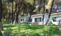 Family Villa in Sani - Sleeps 6 - Parking - Wifi
