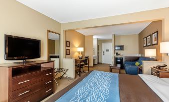 Comfort Inn & Suites Bryant - Benton