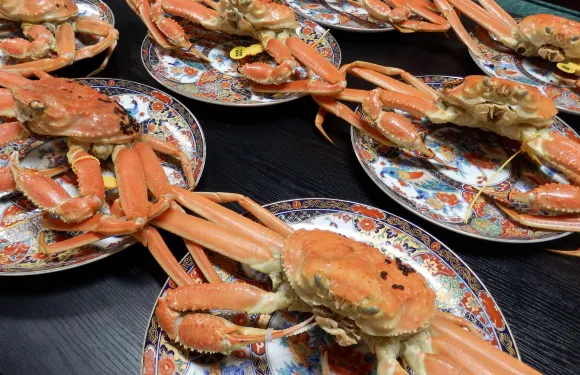 四季之宿 美船莊