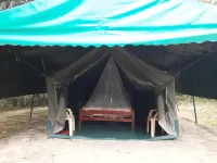 Cactus Eco Camp and Lodge Hotels in Гилджил