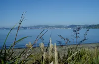 83 by the Sea Motor Lodge Hotels in Lower Hutt