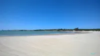 Luxury Family Villa at 50m from Natural Park with dunes & beach 300 m.