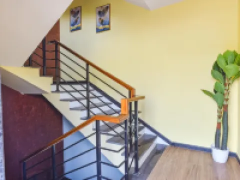 Jingle Tree Resort Hotels in Arambol