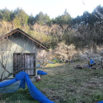 Nouka Minpaku Mirainouen