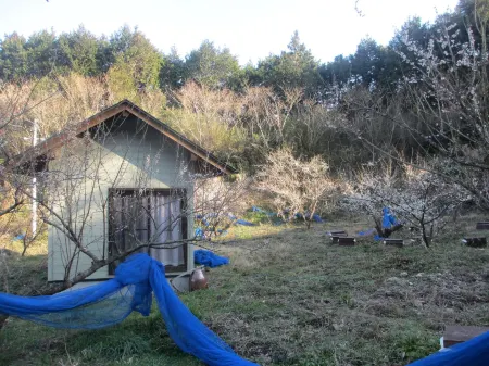 Nouka Minpaku Mirainouen