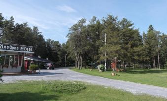 Pinecone Motel