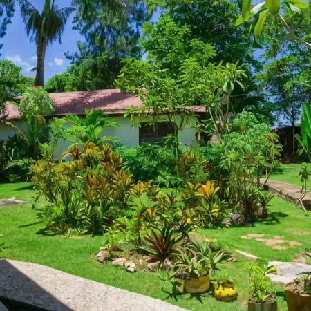 Yoga Dreams Negril