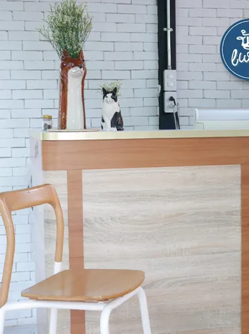 รูปภาพของบ้านเพลิน