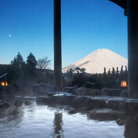 Hotel Green Plaza Hakone