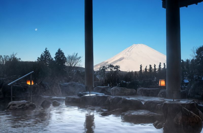 Hotel Green Plaza Hakone photo 2