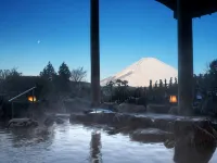 Hotel Green Plaza Hakone - Pemandian Air Panas