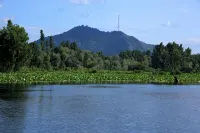 Peace of Mind Group of Houseboat