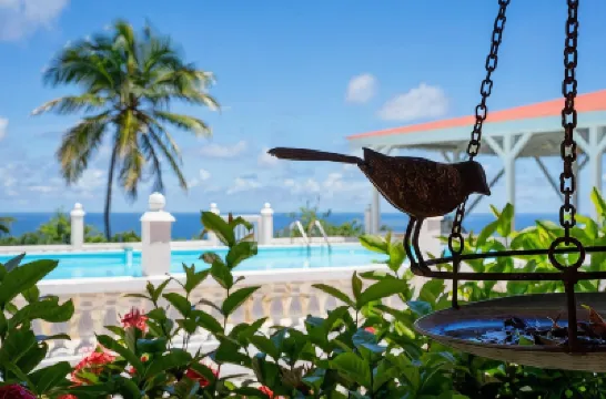 Domaine des Tourterelles Hotels in 