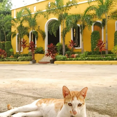 Riad Hua Hin Отели рядом с достопримечательностью «Суан Сон Прадипхат»