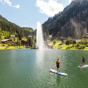 Alpage apartment for 5 people