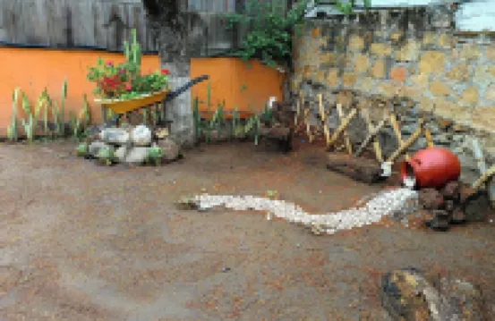 Hotel Ameyali Tequesquitengo