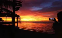 Turtle Beach Ujung Genteng - Beach