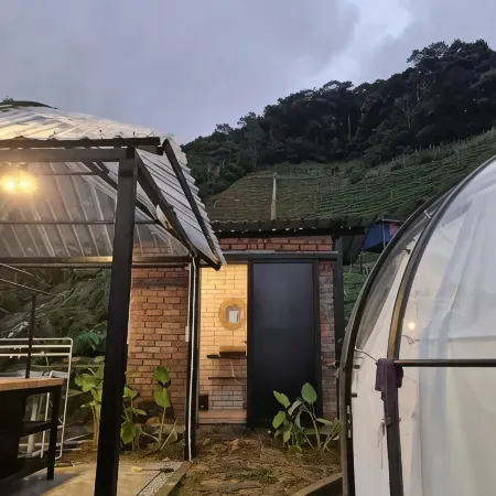 A'Moss Farmstay