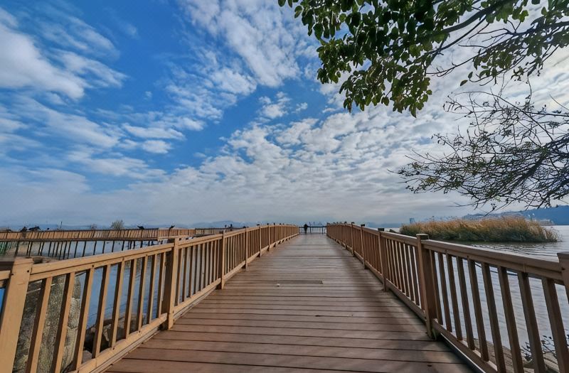 360° Oceanview Lifestyle | Dali Seasky Vista Cultural & Art Oceanview Hote photo 3
