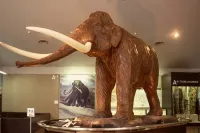 カントリーペンション森のシンフォニー - 2つ星