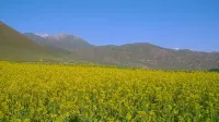 Qilian Jiuyijia Hotel - Mountain view