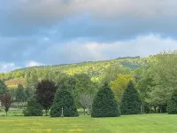 Cozy 1 Br Cabin 100 Feet from the Linville River Near Newland, NC. - Chalets