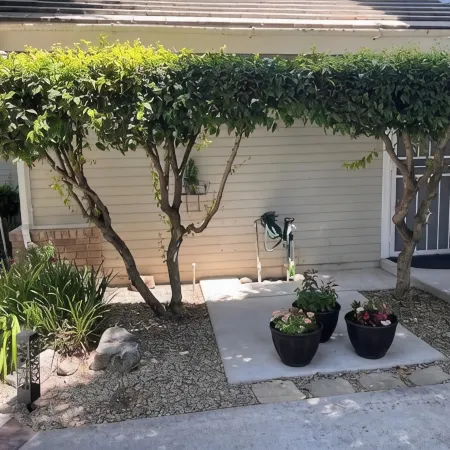 Beautiful 2 room guest ste in upscale Willow Creek