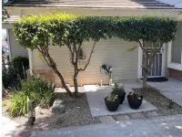 Beautiful 2 room guest ste in upscale Willow Creek - Homestays