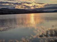 Flo’s Cabin at Grans – Flathead Lakefront, Firepit, Dock, Kayaks, Pet Friendly. - 小木屋