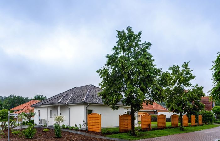 Holiday house 