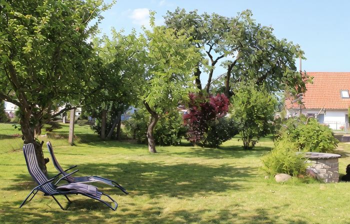 Small isolated cottage on a large meadow and orchard land