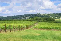 Lovely Cotswolds  farm house on an award winning vineyard with stunning views - Homestays