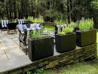 Private, Modern, Pet-Friendly Log Cabin Getaway on 6 Acres, Hotele w: Marbletown