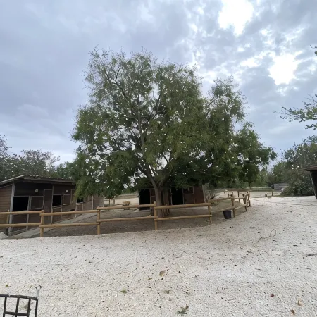 Gite Champêtre de Caractère au Mas Arnaud Équipée D'un Spa,et Accès à la Piscine
