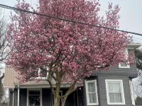 Historic beauty with partial lake views, walking distance to Burnside Marina! Ξενοδοχεία στην πόλη Burnside