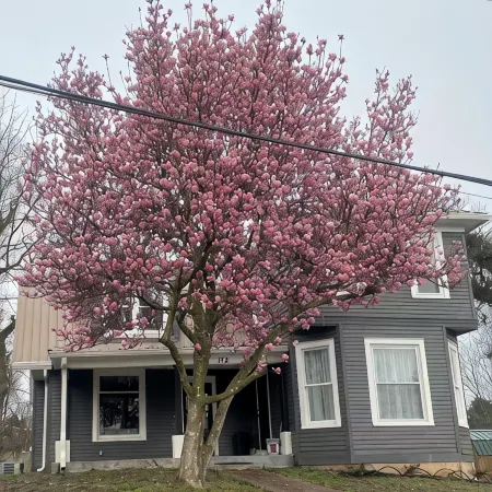 Historic beauty with partial lake views, walking distance to Burnside Marina!